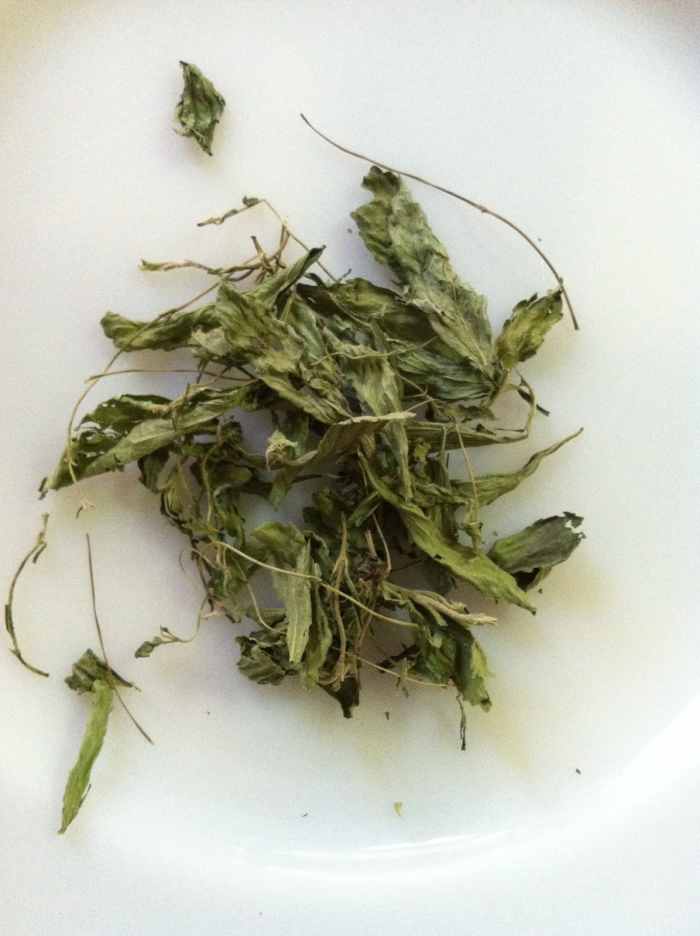 Stevia vs. Splenda Which Is Better? CalorieBee