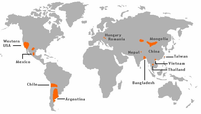 A map of areas where high natural occurring arsenic levels are found in the groundwater. Rice grown in water contaminated with arsenic will absorb it.