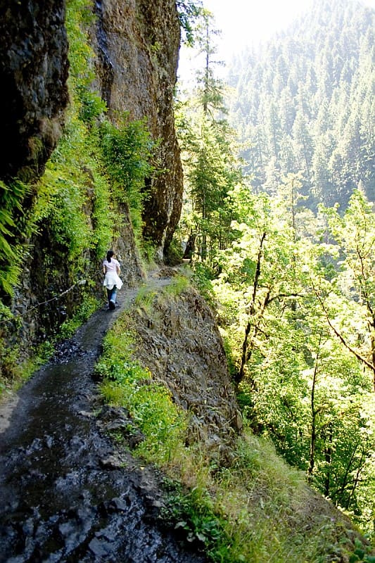 Hiking is the preferred term, in Canada and the United States, for a long, vigorous walk. Featured above is a hiking trail in Oregon (Multnomah County, Oregon)..