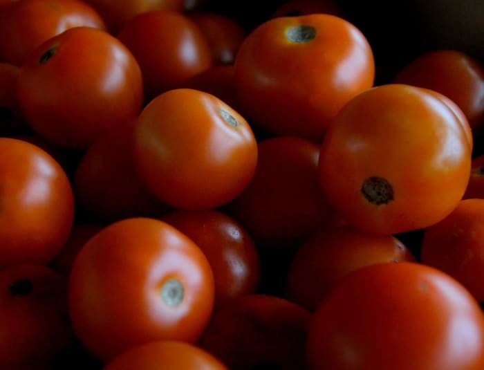 The red color of most tomatoes comes from the antioxidant compound lycopene.