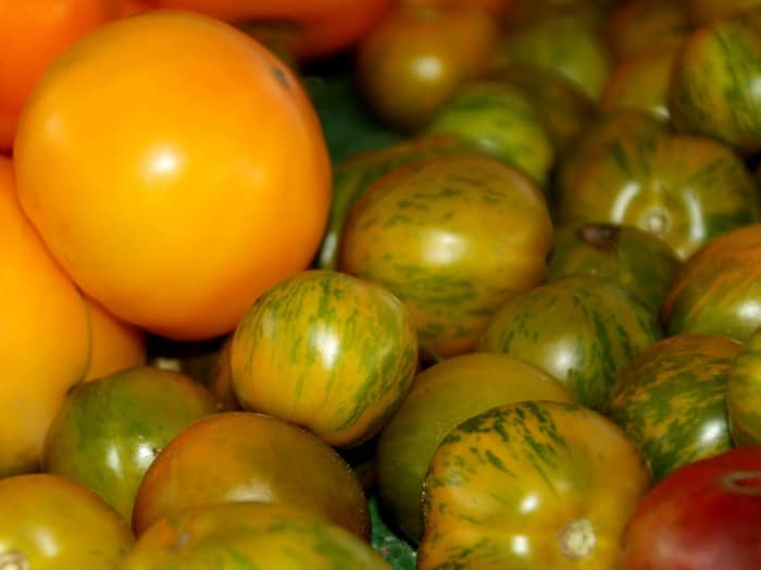 Local farmer's markets are a good place to find different types of tomatoes.
