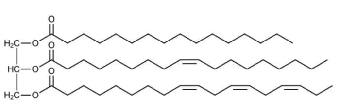 Figure 11: Structure of a triglyceride. Modified from “General structure of a fatty triglyceride. Fatty acids from top to bottom: Palmitic acid, oleic acid, α-linolenic acid” by Nothingserious, which is in the public domain.