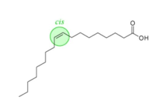 Figure 8: Structure of a fatty acid containing a cis double bond. Modified from “Cis trans” by Foobar, which is licensed under CC 3.0.