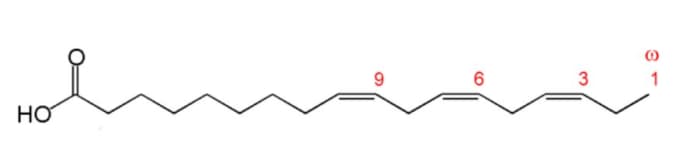 Figure 6: Structure of an omega-3 fatty acid. Modified from “Chemical structure of alpha-linolenic acid showing differing numbering conventions, created with ChemDraw” by Edgar181 is in the public domain.