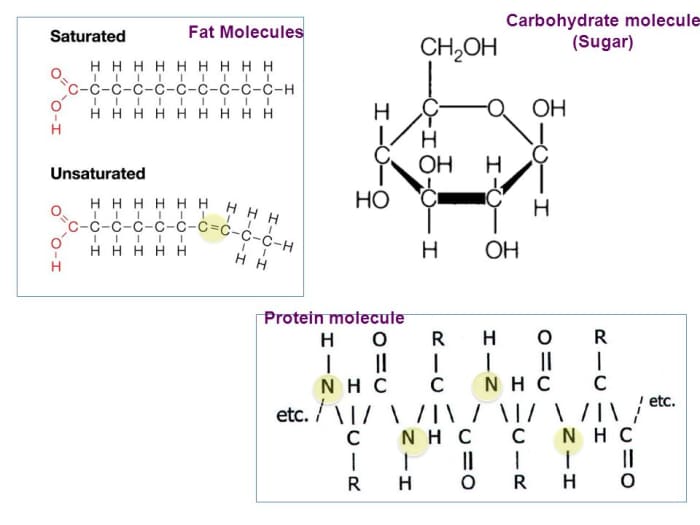 Fat molecule vs. carbohydrate molecule. Oxidation of a carbohydrate molecule is easily triggered by adding some more oxygen atoms. Fat molecules oxidate slower to but provides much more energy.