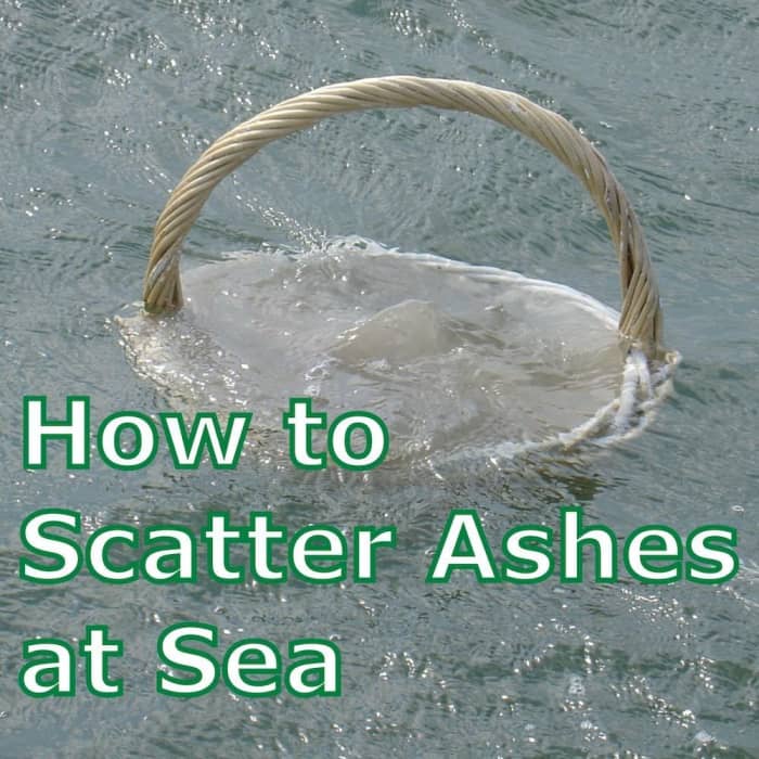 see-how-to-scatter-ashes-at-sea-with-a-comforting-ceremony-wehavekids