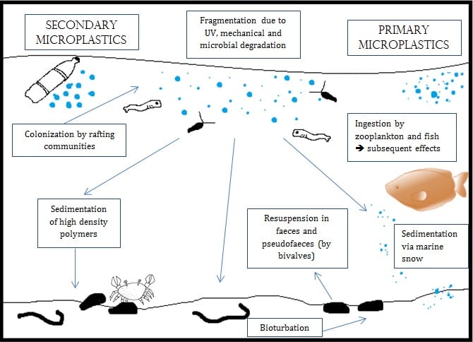 Microplastics, Ocean Pollution, and Effects on Marine Life - HubPages