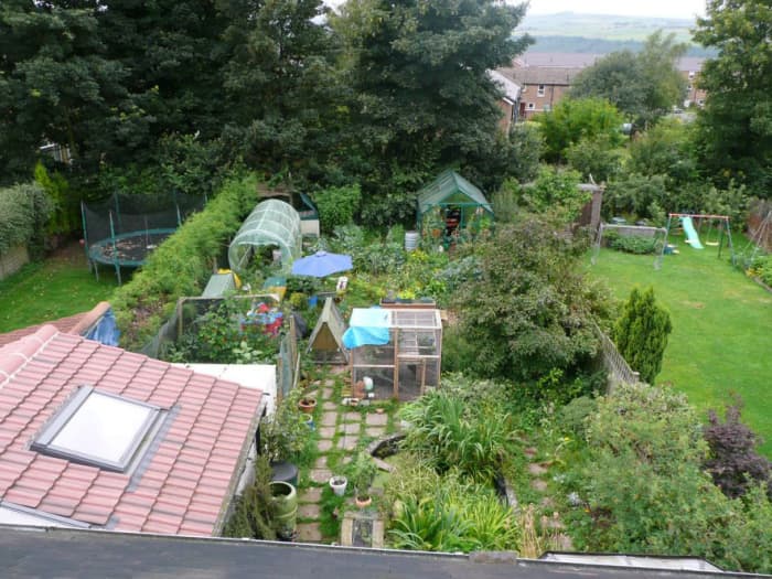 Homegrown permaculture garden in Sheffield, UK. Growing companion plants of different levels together—like the Native American corn, beans, and squash—alleviates the need for manmade fertilizers and pesticides that pollute.
