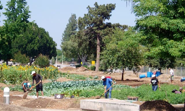 Organic community gardens also reduce the need for mass produced agricultural farms. This one is a school garden, but every neighborhood could have one of their own, if they were willing to work at it.