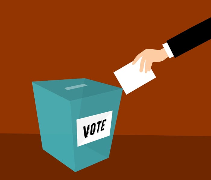 Voting is one of the most important civic responsibilities for US residents and citizens and this is what we must do to ensure that Donald Trump is not reelected.