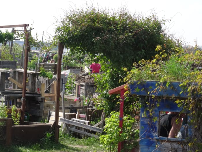 Parents have carried scrap materials and tough greenery, onto the field and colonised it for their children.