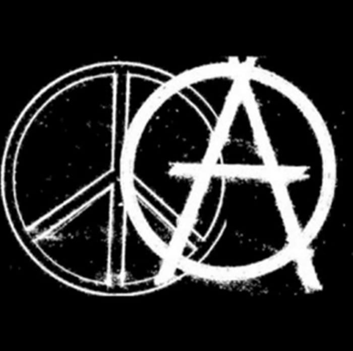 Anarchy and Peace -- No coercion, intimidation or fraud allowed. Any other form of anarchy is just hatred, bullying and lying.