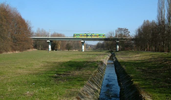Overpasses such as this one allow for traffic to continue for human convenience, while allowing wildlife to pass unharmed beneath from place to place.