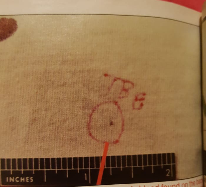 The circle indicates this is Devon's blood on the back of Darlie's night shirt. This is the totality of Devon's blood on the back of the shirt. It's not spatter, a splash, or even a drop. It is a minute, pinprick DOT. It proves nothing.