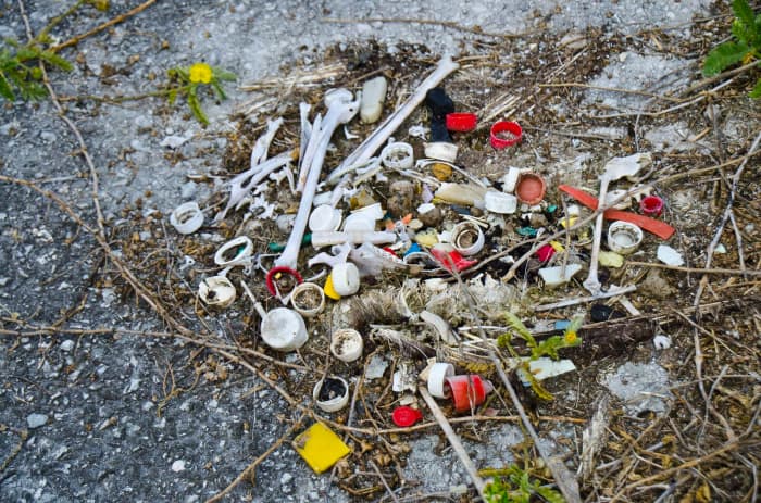 Plastic waste is a massive issue that is harmful to animals, plants and the environment as a whole.