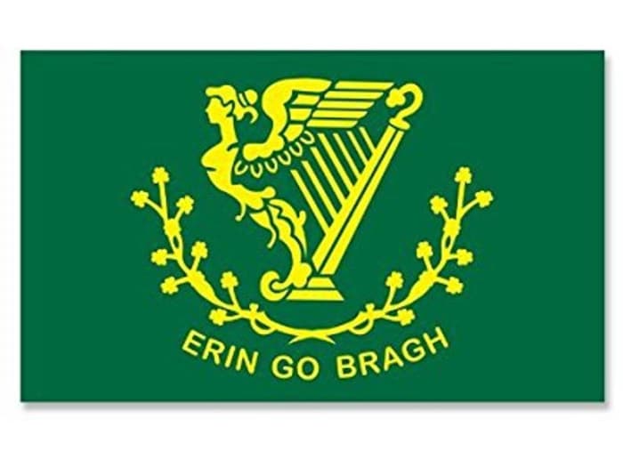 Prior to the tricolour gaining in popularity, the 'Green Flag' with the gold harp had been in common use as a de facto National flag. Today it tends to be popular with a small rump of Hibernian little Irelanders.