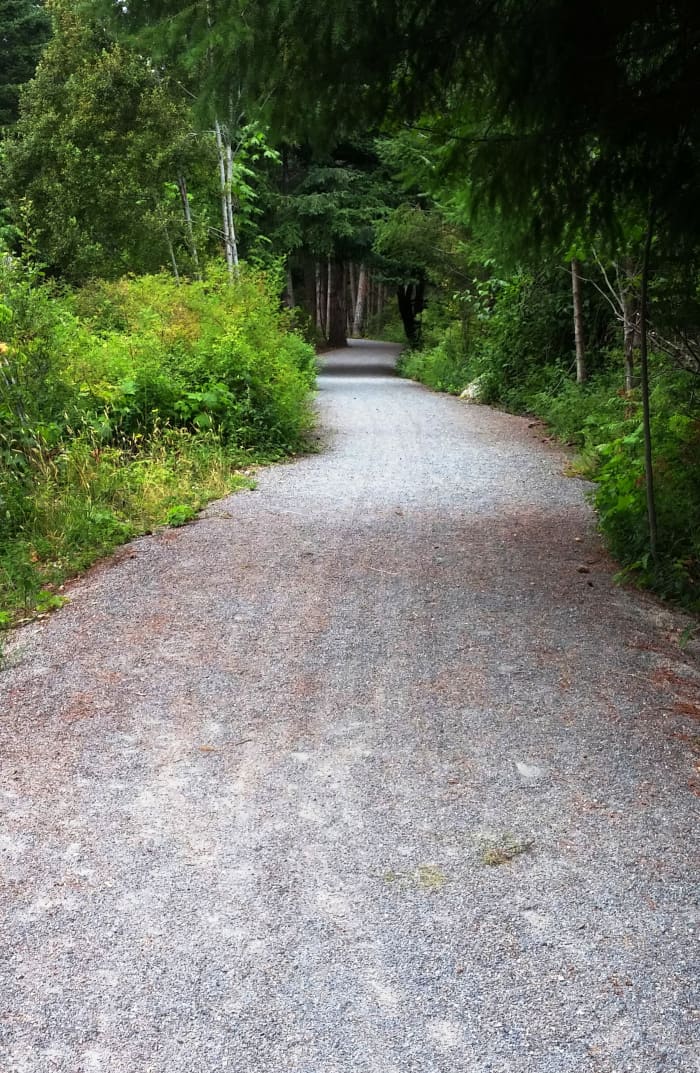 A new walking/cycling trail that we knew nothing about runs just between the old railroad and the commercial in between.