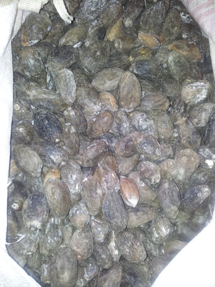 Bought this bag of galip nut for $10 from Kokopo Market, ENBP. Once completely dried, the soft outer covering will come off. If used strictly for cooking, it will last 3-4 months.