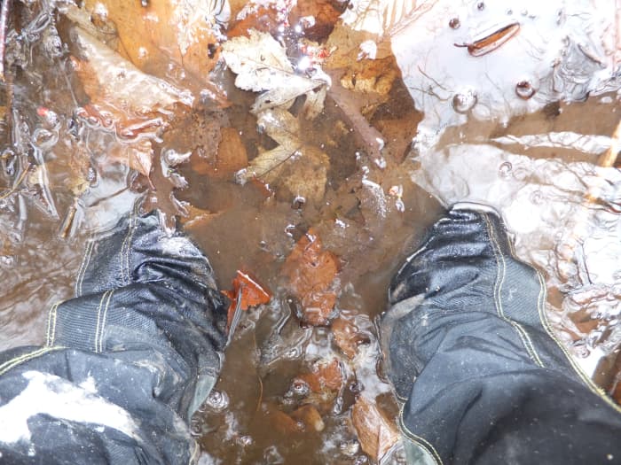 Yes, I am wearing the Gypsum in the picture. After walking in water 6-inches over the top of the shoe, my feet did get wet.