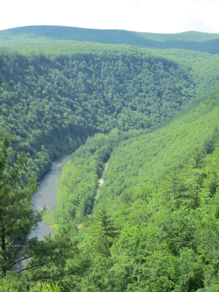 Pine Creek with Pine Creek Rail Trail to the right in the bottom of the Grand Canyon of Pennsylvania.