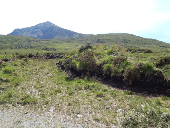 The acidic peat of the valley has preserved a great deal of the areas treasures.