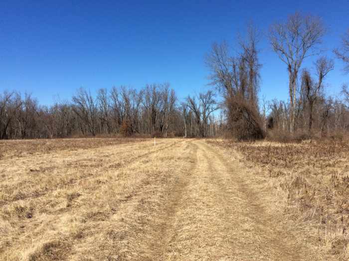 Hiking in the Fannie Stebbins Memorial Wildlife Refuge Longmeadow