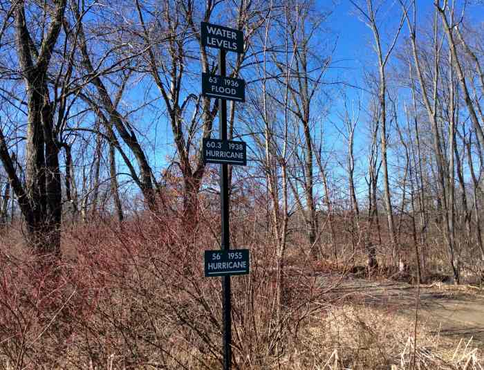 Hiking in the Fannie Stebbins Memorial Wildlife Refuge Longmeadow