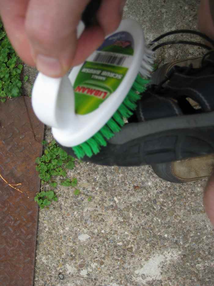 How to Clean Smelly Sandals SkyAboveUs