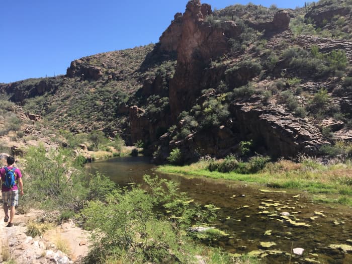 Shallow waters of First Water Creek in Canyon above where it flows into Canyon Lake in Arizona