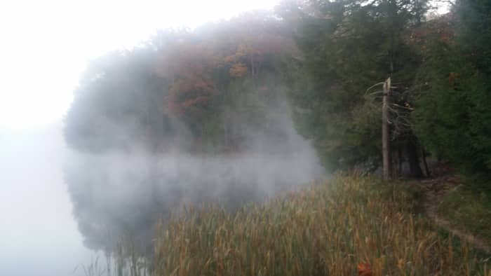 Besides beautiful landscapes, the region is also home to a wide range of wildlife -- from deer to bobcat.