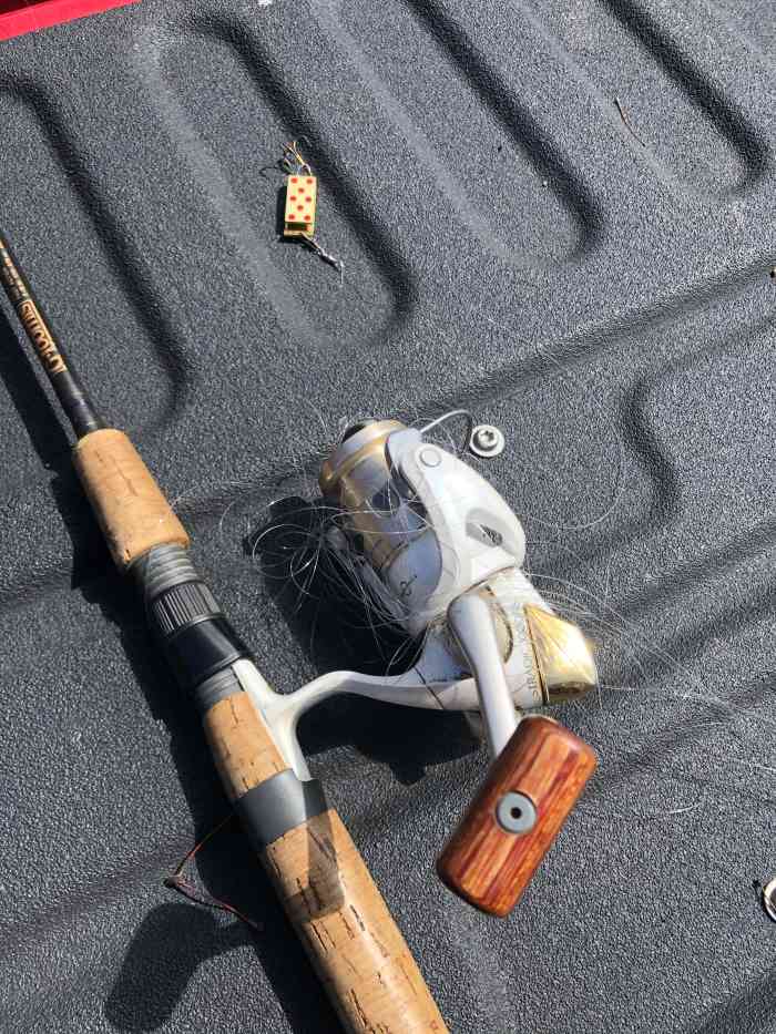 $#%@&* rat's nest still intact after I got home from the lake