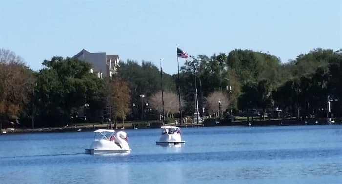 It was an idyllic setting. The lake is noted for the swan boats and for the real swans too.