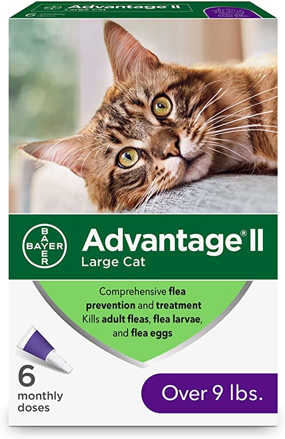 3 Best Flea Treatments for Pet Cats - PetHelpful