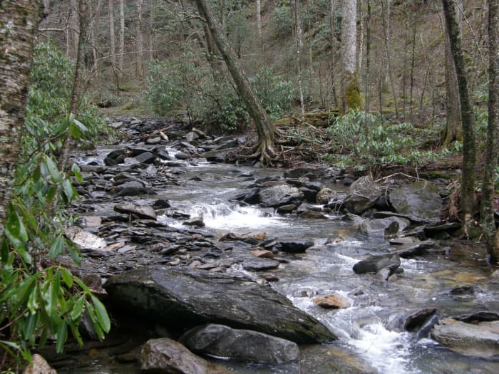 The water flows vivaciously along the Alum Cave Trail until you reach the "cave" or "grotto." (photo by Vicki Carroll)