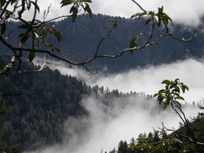 The Cherokee Indians called the Smoky mountains “Shaconage” (Sha-Kon-O-Hey) which means "land of the blue smoke."