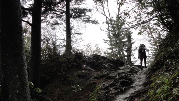 Alum Cave Trail: The next leg of the hike just past Inspiration Point. Inspiration Point is 4,700 feet in elevation.