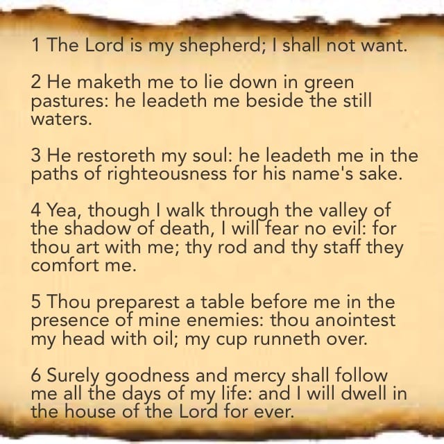 psalm-23-a-sheep-s-testimony-letterpile