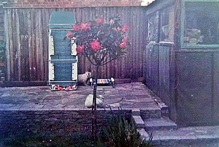 Pictured in the back garden, Mitzie and Snowball are next to the shed (on the right) under which Snowball had dug his way out.