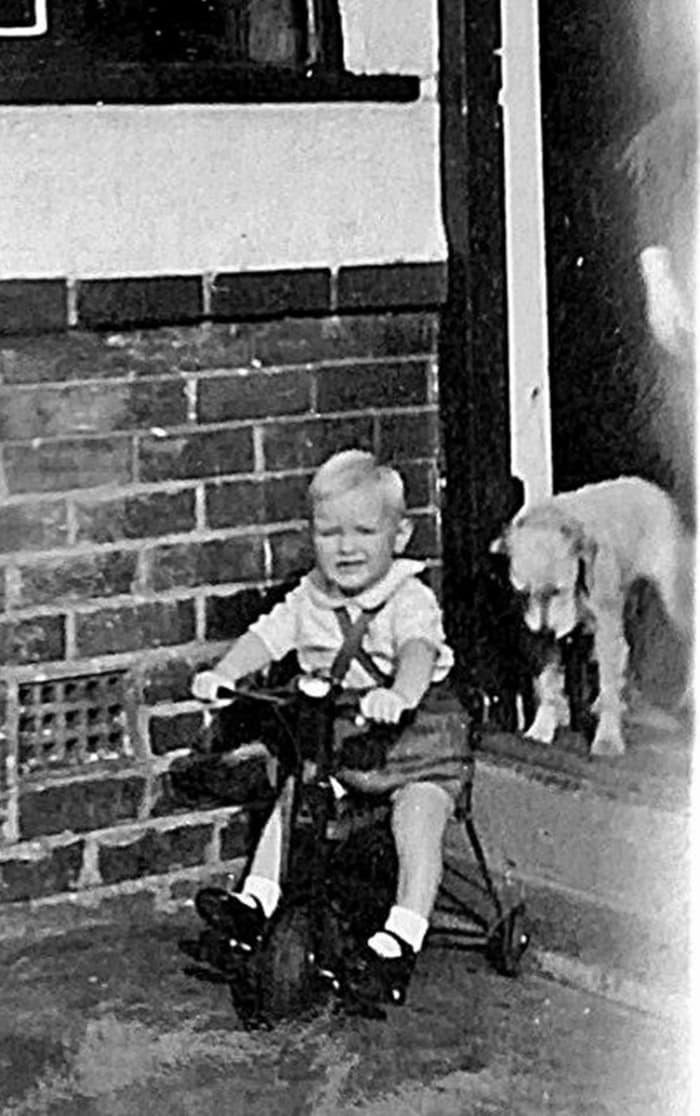 My brother's dog, Peggy, kept a watchful eye on him when he was a toddler learning to ride his bike.