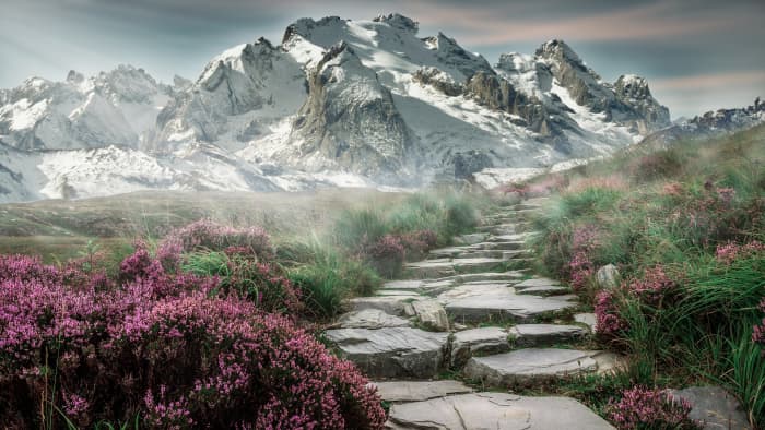 The promise of knowledge dares with old and new discoveries. We travel along the familiar path until reaching for the summit of new knowledge giving promise of new hopes through discovery.