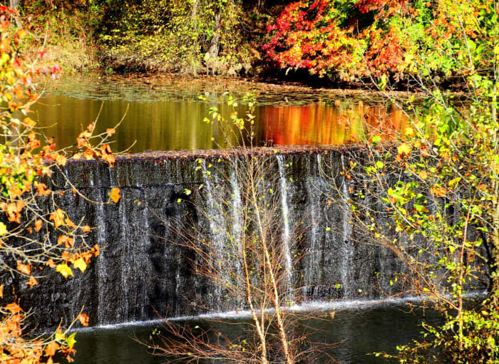 Taking a walk in the forest can make us recall special moments, especially if there are beautiful scenes.