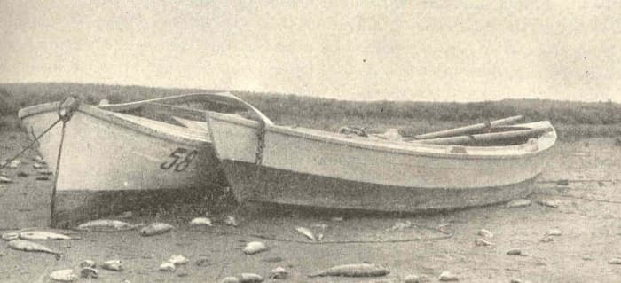 These flat bottom's are perfectly-contended to sit on the shore and "wave" bye, bye.