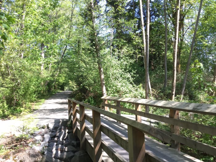 Like a bridge over water, a writing challenge can sometimes lead to unexpected discoveries.