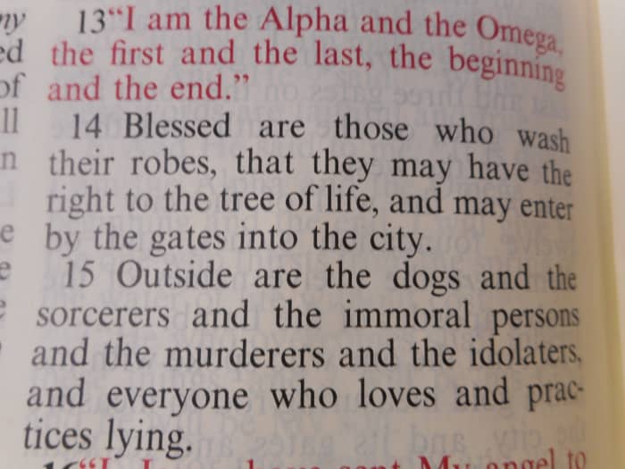 This translation "wash their robes" is from the more recent fourth and fifth century manuscripts. The KJV says "keep His commandments" which is from second century translations.