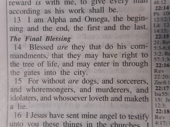 This King James Version says "keep his commandments." This translation is from manuscripts of the second and third centuries. The more recent translations say "wash their robes".