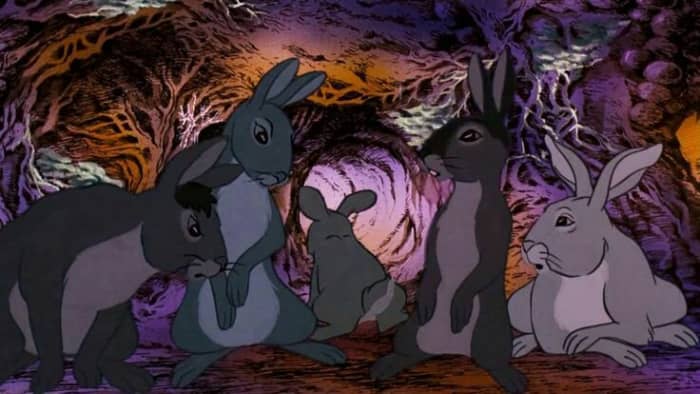 Fiver runs out of Cowslip's warren after his warning of danger is not heeded. He cannot abide to stay there, whatever his friends do.