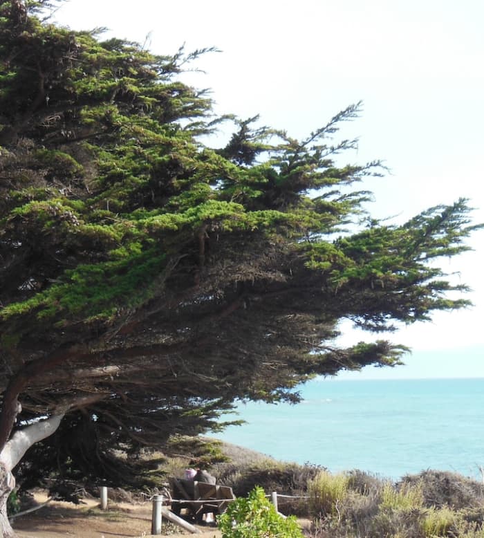 Couple in a beach hideaway. Do you see them on the bench under the tree?