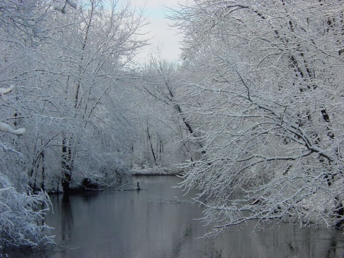 Michigan's beautiful fall foliage! (just kidding) Winter on the Paw Paw River