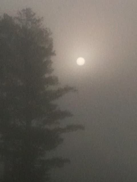 The inevitably fog shrouded view of the ominous full moon outside the window of a haunted house is usually not what you want to see. Things hide there, as in The Fog!