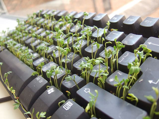 A poet's words grow out of the keyboard from seeds of creativity.